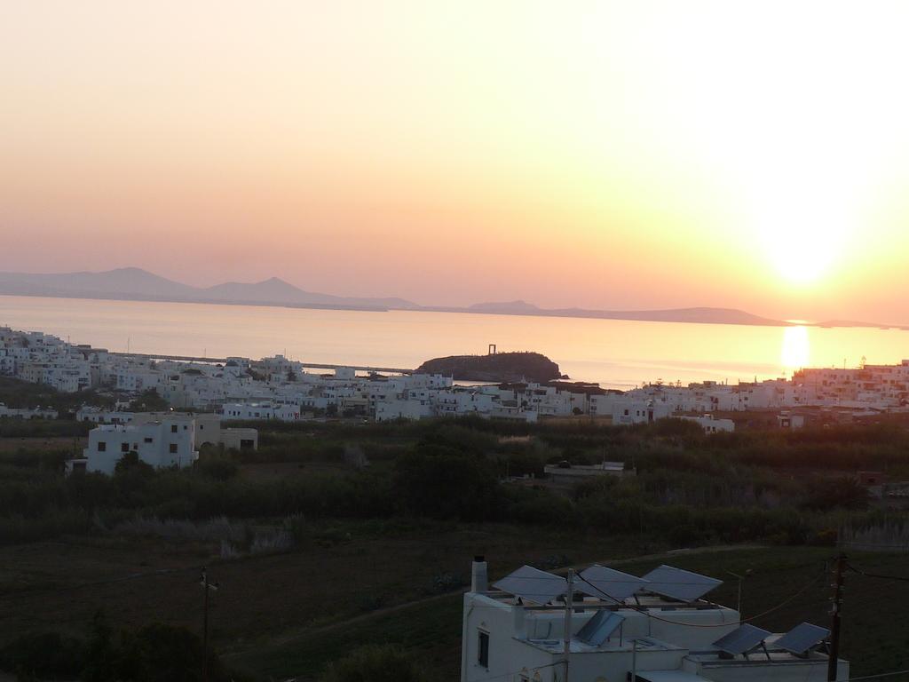 Paradisia Villas Naxos City Bagian luar foto