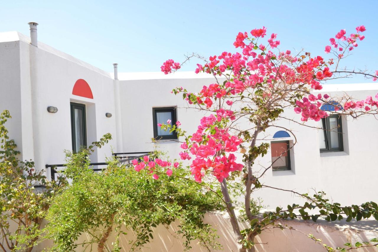 Paradisia Villas Naxos City Bagian luar foto