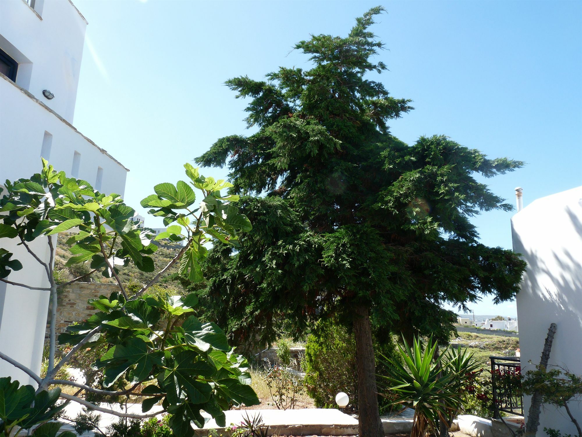 Paradisia Villas Naxos City Bagian luar foto