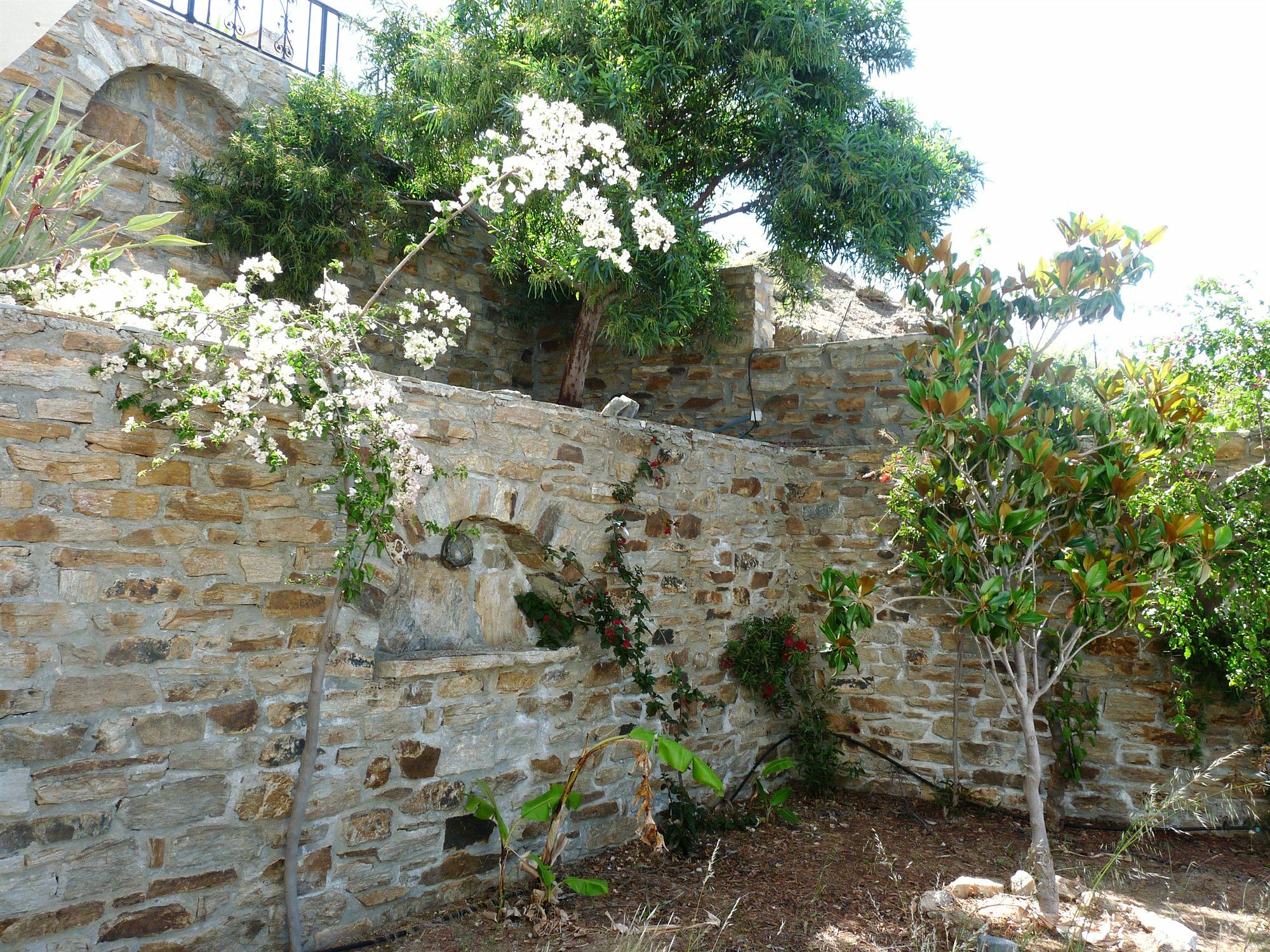 Paradisia Villas Naxos City Bagian luar foto